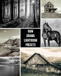 Black And White Lightroom Presets Download Free Download Dramatic Black And White Lightroom Presets Lightroom Fotografia Presets De Lightroom