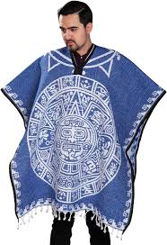 Image result for Pancovia holtzii