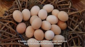 Improving tourism offer in Kosovo through Farm to Fork promotion | FEGO project