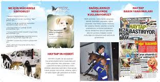 Sik Sorulan Sorular Haytap Hayvan Haklari Federasyonu