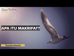Sedangkan menurut para sufi, makrifat merupakan bagian dari tritunggal bersama dengan makhafah (cemas terhadap tuhan) dan. Gus Baha Apa Itu Makrifat Gus Bahasa Jawa