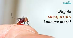 Image result for mosquito bite