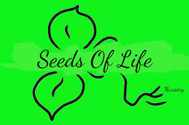 La quinta's best restaurants based upon thousands of opentable diner reviews. Seeds Of Life Nursery Posts Facebook
