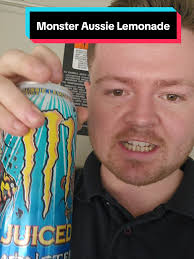 몬스터 에너지 울트라 레몬