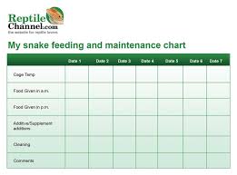 Print Out This Free Snake Feeding And Maintenance Chart To