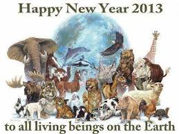 Happy New Year To All Living Beings On The Earth Animal Poems Animals Save Animals