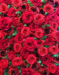 Pin On Enchantedwallflowers Com