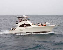 Tam-Marina Home Page