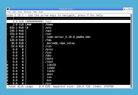 Explore Disk Usage with Ncdu - Powerful Command Line Tool | LabEx