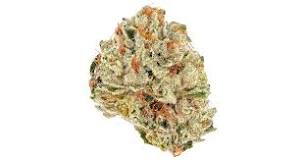 French Toast aka Stuffed French Toast Weed Strain Information ...