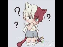 Todoroki Cute Todoroki Cat Youtube