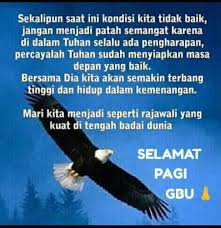 Burung ini juga sangat unik, saat ia terbang dan berada di alam bebas ia bisa menjadi buurn paling bersih dibandingkan burung yang lainnya. Pin Oleh Indra Puspita Di Selamat Pagi Selamat Pagi Kutipan Rohani Alkitab