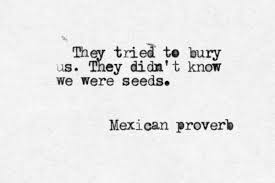 They Tried To Bury Us They Didn T Know We Were Seeds I Can Bloom Anywhere Just L Inspirational Quotes Motivation Inspirational Words Inspirational Quotes