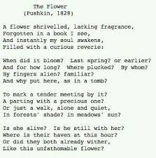 The Flower By Alexander Sergeyevich Pushkin Poetic Words Summer Poems Literary Quotes