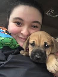 Pit, mastiff, and bat? 😂🦇