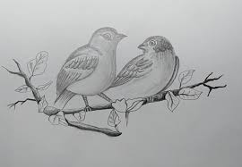 How To Draw A Realistic Bird Step By Step For Beginners How to draw bird feet. how to draw a realistic bird step by