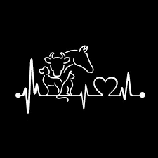 Veterinarian Heartbeat Window Decal By Thegildedbar On Etsy Veterinarian Tattoo Vet Medicine Veterinarian
