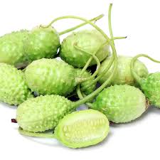 Image result for Cucumis engleri