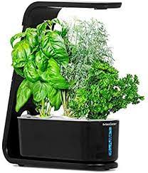 Amazon Com Aerogarden Sprout Black 2020 Model Garden Outdoor Garden Kit Gourmet Herbs Aerogarden