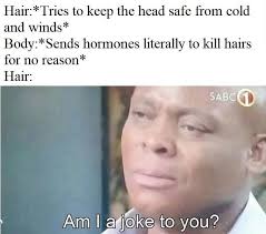 This Post Was Made By Bald Gang Funny Quotes Jokes Memes