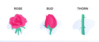 Ontdek de perfecte stockfoto's over rose with thorns en redactionele nieuwsbeelden van getty images kies uit premium rose with thorns van de hoogste kwaliteit. Rose Bud Thorn Design Thinking Exercise Easyretro Former Funretro