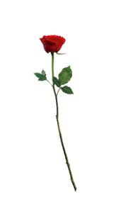 Valentine Day Photo Editing Background Png Download For Picsart Photoshop Hd Kr Editing Editing Background Valentines Day Photos Photo Editing