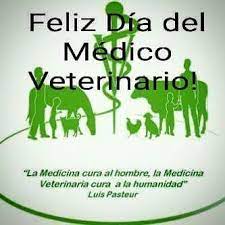 Fundación foro nacional del cáncer. Feliz Dia Del Medico Medicos Veterinarios De Panama Facebook