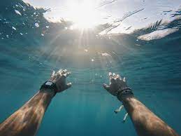 30 000 Underwater Swimmer Pictures Download Free Images On Unsplash