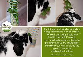Diy Rabbit Toy Ideas Bunny Approved House Rabbit Toys Snacks And Accessories Homemade Rabbit Toys Diy Bunny Toys Pet Bunny Rabbits