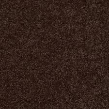 Trafficmaster Palmdale I Color Mountain Path 12 Ft Carpet Hdb5557705 The Home Depot Carpet Samples Carpet Shaw Carpet