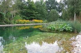 We did not find results for: Aquacide Pellets