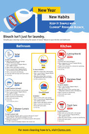New Year Cleaning Resolutions How I Am Disinfecting My Home Cleaning With Bleach Clorox Bleach Clean House