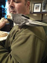 People: You spoil your birds. Me: No I don't! Also me: