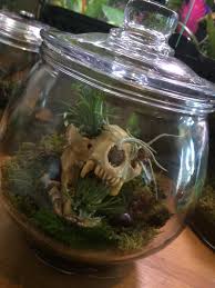 The Boyfriend Made This R Terrariums Garden Terrarium Plants Terrarium