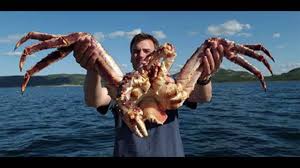 ผลการค้นหารูปภาพสำหรับ รูปอลาสก้า