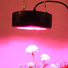 Maybe you would like to learn more about one of these? Ufo Led Grow Light 75w Cree Epistar Chip Agriculture Equipment With 3 Years Warranty Global Sources