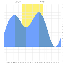 Tide Charts For Tacoma Narrows Bridge Puget Sound In