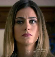 Leyla Turkmen Home Facebook