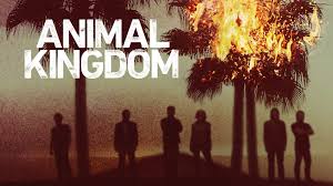 Watch Animal Kingdom: Season 1 | Prime Video