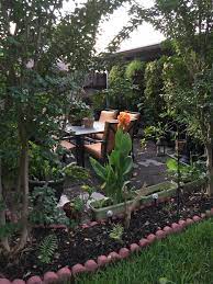 My tiger jungle (backyard jungle) do you know the neighbors who live close to you? My Backyard Is A Tiny Jungle Gardening