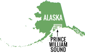 Cruise out into the remote waters to marvel at the striking scenery and try a range of adventure activities, from fishing and wildlife watching to backcountry skiing. Prince William Sound Alaska Phillips Cruises Alaska Glacier Tours Whittier Prince William Sound