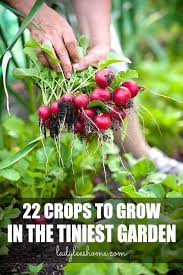 22 Crops To Grow In A Small Vegetable Garden Small Vegetable Gardens Edible Garden Backyard Vegetable Gardens