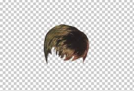 Are you looking for a symbol of hairstyles png? Brown Hair Man Png Free Brown Hair Man Png Transparent Images 104263 Pngio