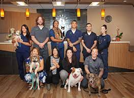 Animal urgent care mission viejo. Emergency Animal Hospital Rancho Santa Margarita 24 Hours Vet Emergency