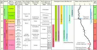 Correlation Chart Of The Paleogene Fossil Bat Record With
