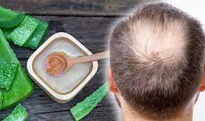 Add aloe gel to a bowl with some coconut oil, and mix until the gel is completely covered in oil. Hair Loss Treatment Aloe Vera Provides Nutrition For Hair Follicles To Increase Growth Express Co Uk