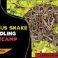 Venomous Snake Handling Bootcamp event image