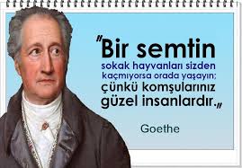 bir semtin sokak hayvanlari sizden kacmiyorsa orada yasayin cunku komsulariniz guzel insanlardir goethe guzel soz ozlu sozler sokak