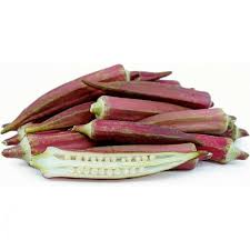 Image result for Abelmoschus esculentus