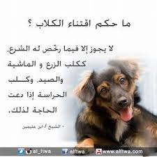 الطريق الي الله حكم رسم ذوات الأرواح السؤال ما حكم الرسم facebook